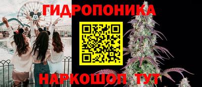 стаф Канаш
