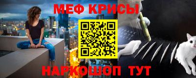 стаф Канаш